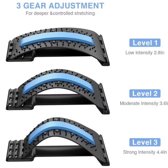 Extenseur dorsal