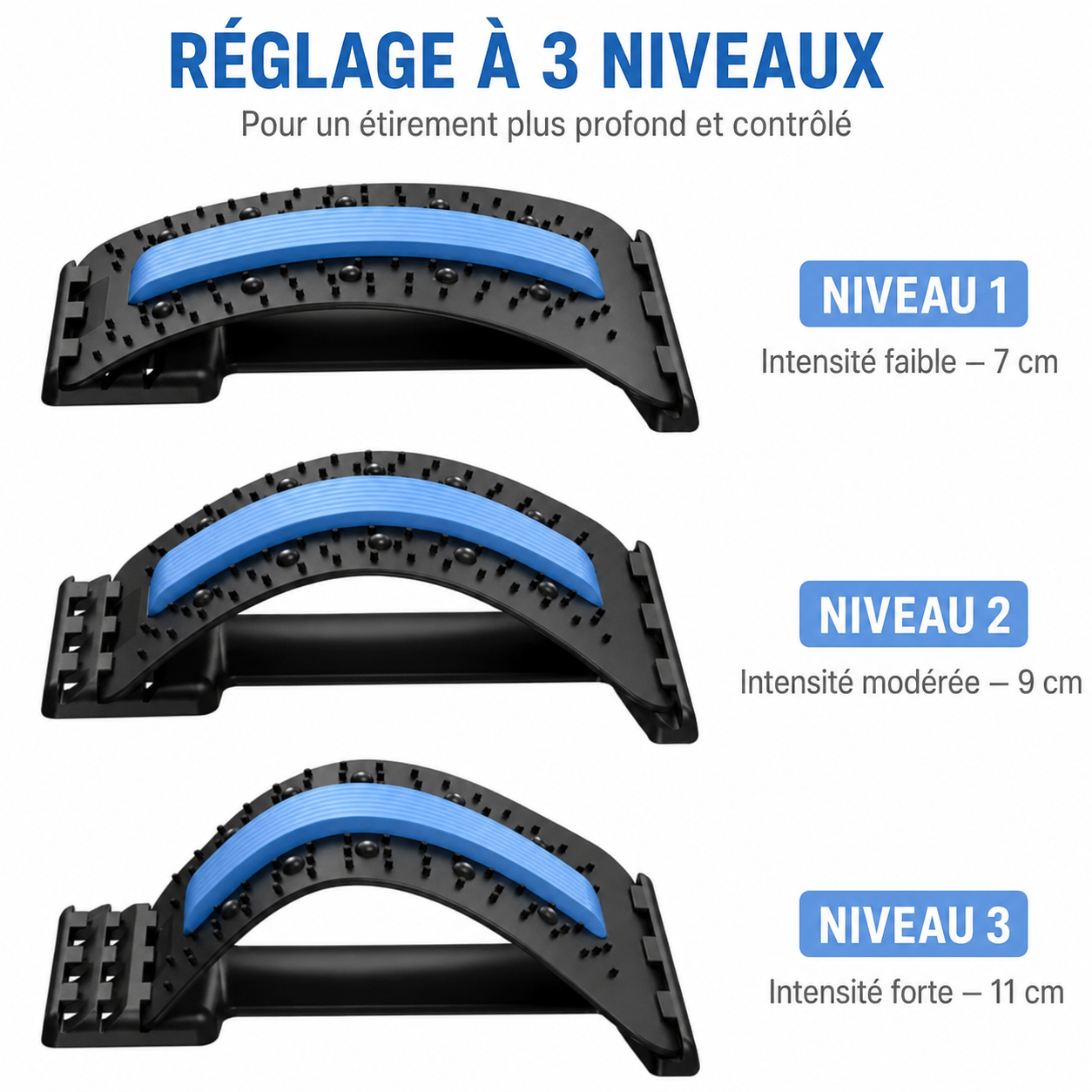 Extenseur dorsal